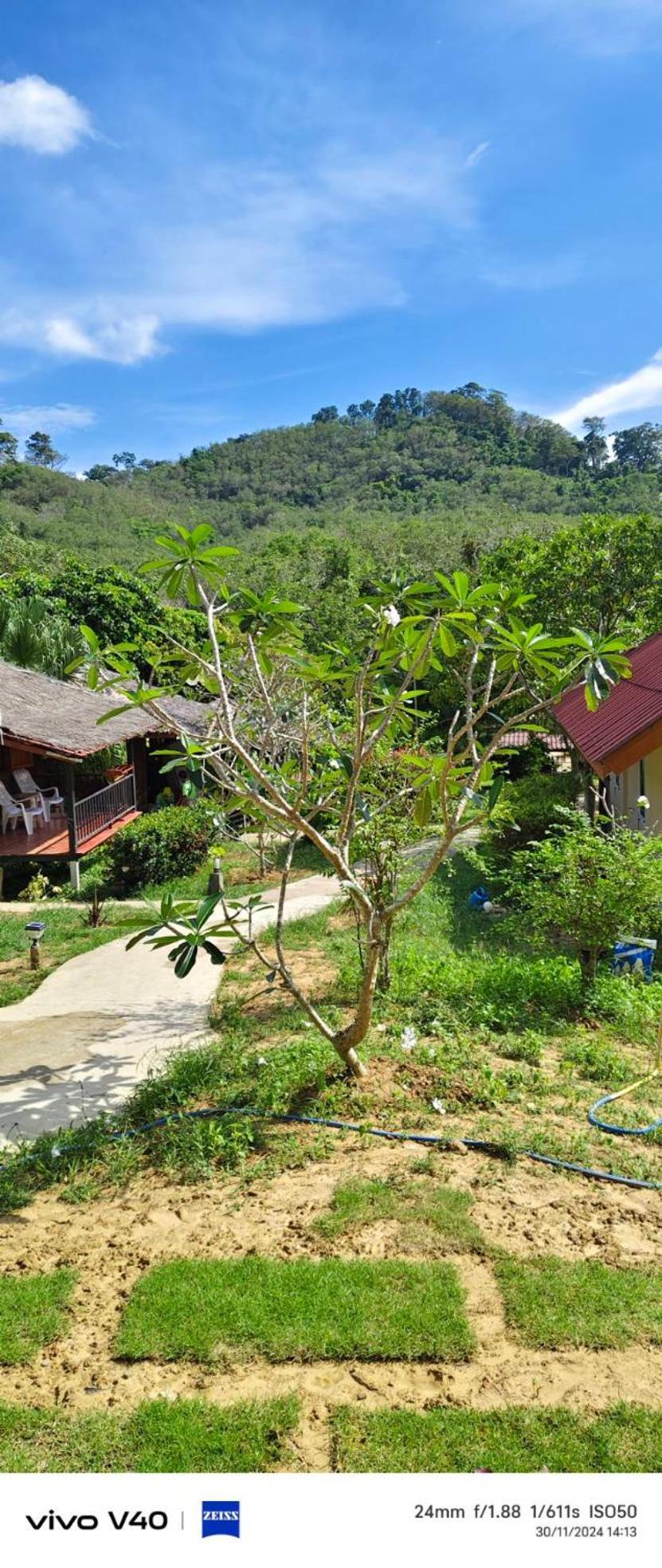 Mookies Bungalows Ко-Мук Экстерьер фото